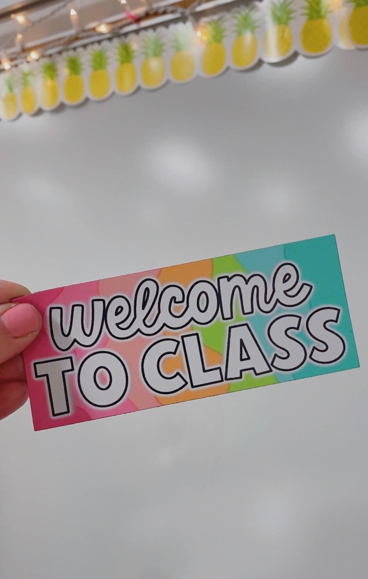 Welcome to Class Magnet